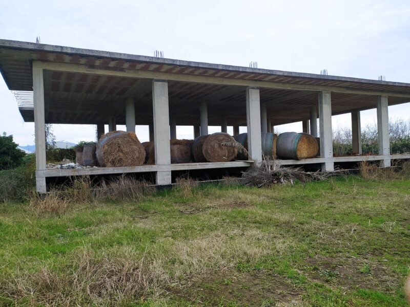 Aversana, Pontecagnano Faiano: distributore di carburante agricolo con 10.000 mq di terreno fronte strada