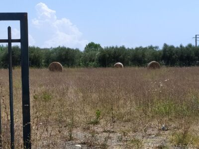 Aversana, Pontecagnano Faiano: distributore di carburante agricolo con 10.000 mq di terreno fronte strada