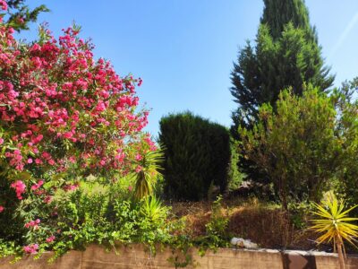 Appartamenti con giardino - Pontecagnano