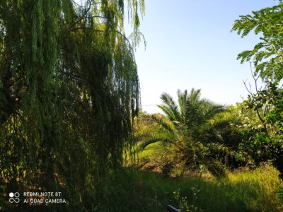 Appartamenti con giardino - Pontecagnano